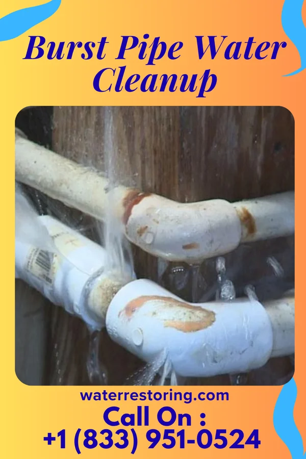 Burst Pipe Water Cleanup in Pembroke, VA