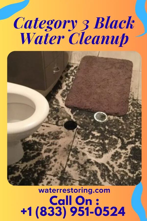 Category 3 Black Water Cleanup in Pembroke, VA