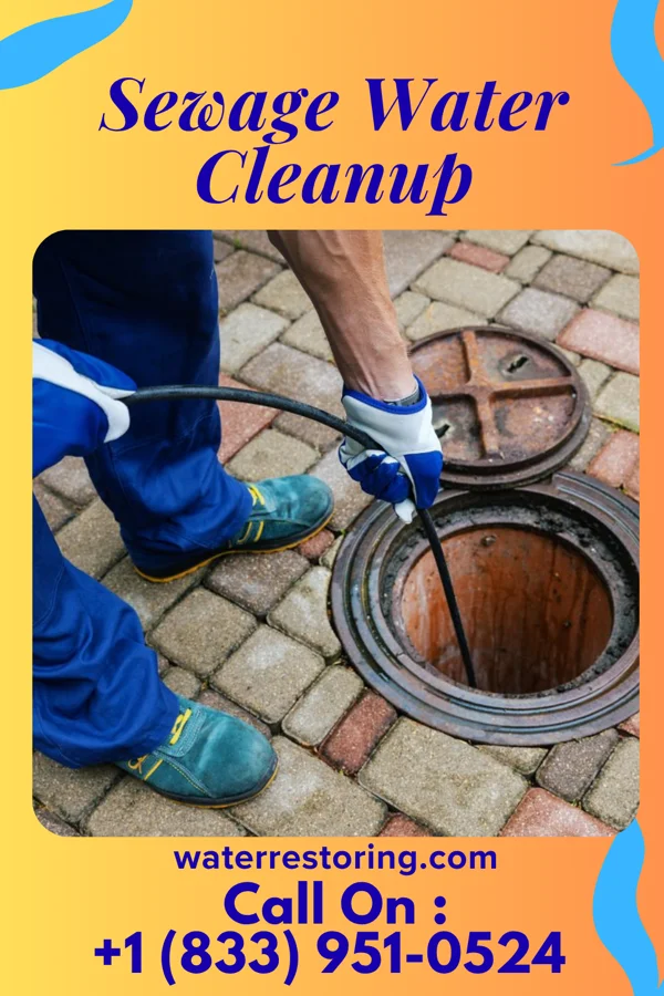 Sewage Water Cleanup in Pembroke, VA